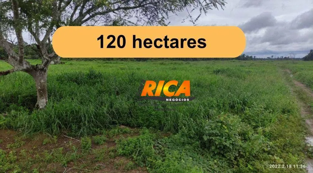 Fazenda, 120 hectares - Foto 2