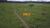 Fazenda-Sítio-Chácara, 120 hectares - Foto 15