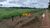 Fazenda-Sítio-Chácara, 120 hectares - Foto 8