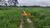 Fazenda-Sítio-Chácara, 120 hectares - Foto 3