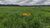 Fazenda-Sítio-Chácara, 120 hectares - Foto 4