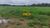 Fazenda-Sítio-Chácara, 120 hectares - Foto 7