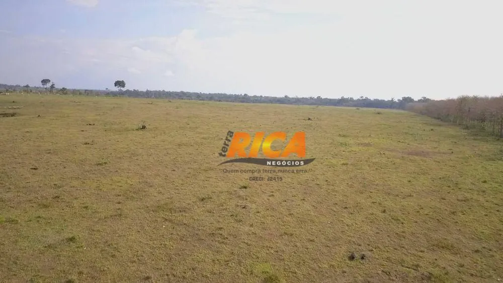 Fazenda, 387 hectares - Foto 7