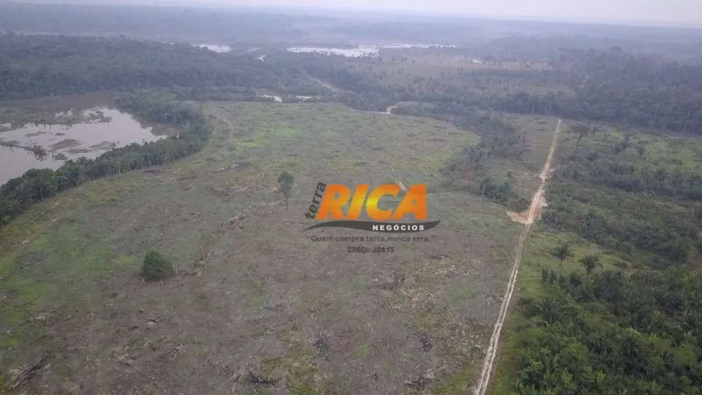 Fazenda, 387 hectares - Foto 6