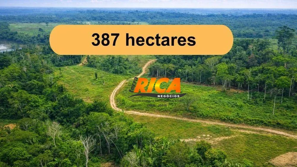 Fazenda, 387 hectares - Foto 1