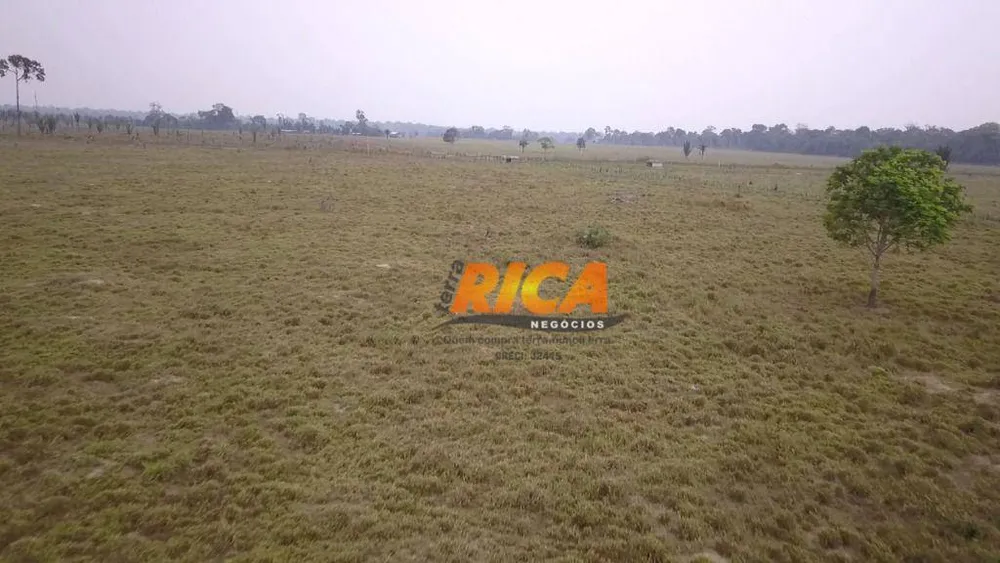 Fazenda, 387 hectares - Foto 3