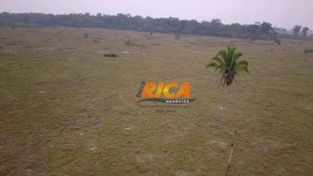Fazenda, 387 hectares - Foto 2