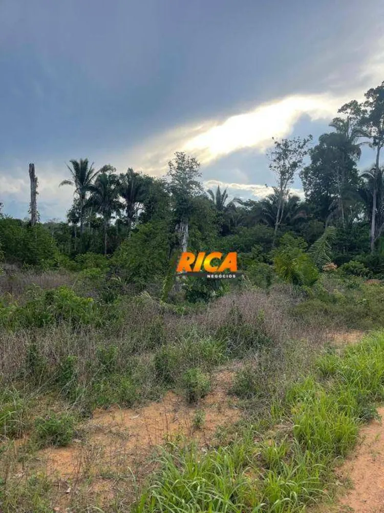 Chácara, 1 quarto, 7500 m² - Foto 12