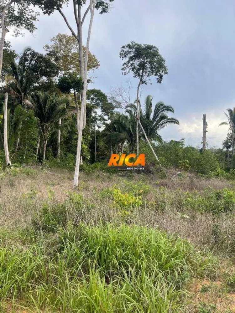 Chácara, 1 quarto, 7500 m² - Foto 13