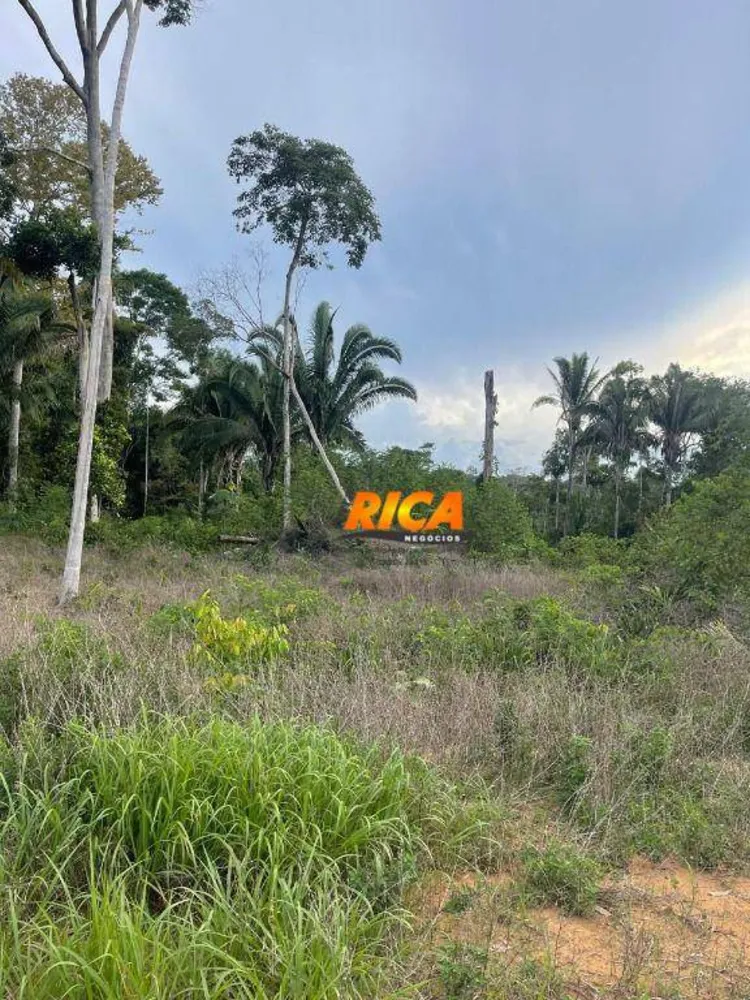 Chácara, 1 quarto, 7500 m² - Foto 10
