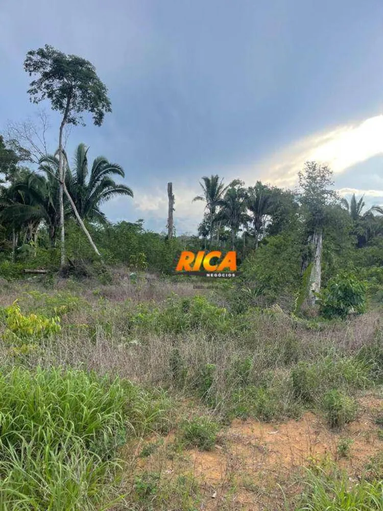 Chácara, 1 quarto, 7500 m² - Foto 9