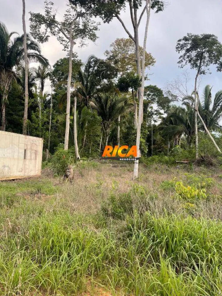 Chácara, 1 quarto, 7500 m² - Foto 4