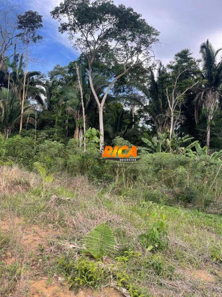 Chácara, 1 quarto, 7500 m² - Foto 11