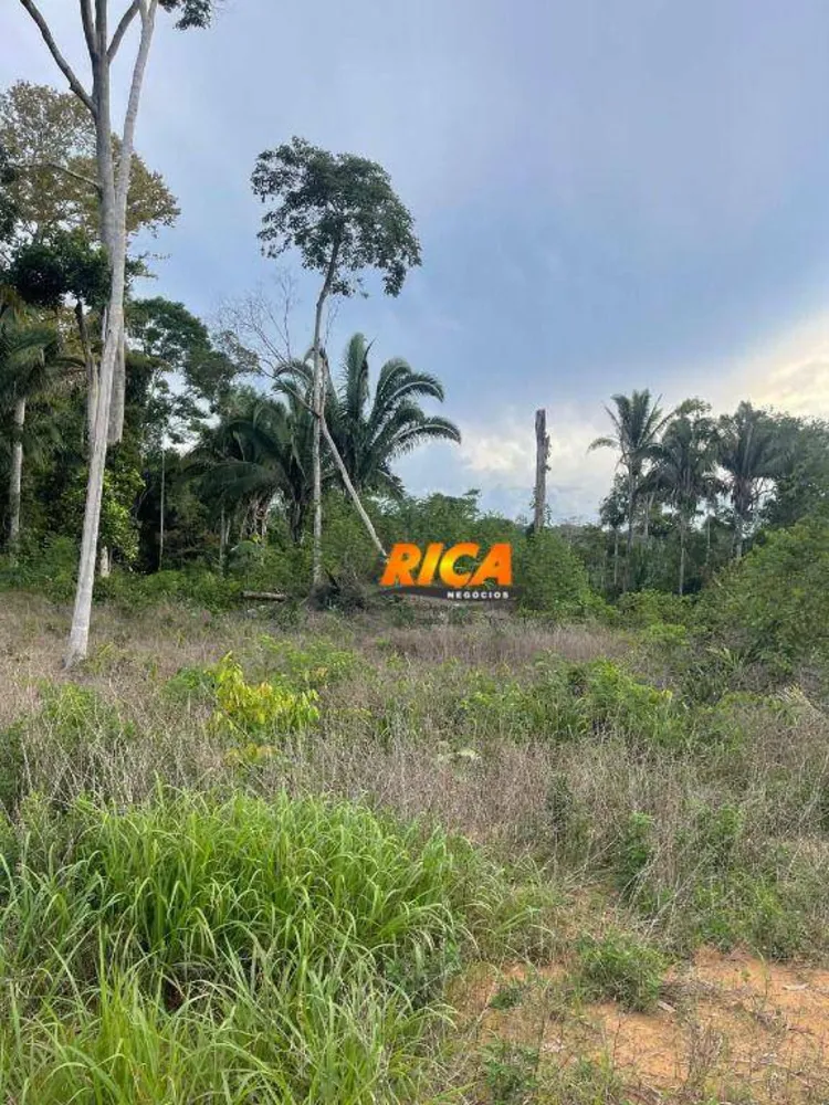 Chácara, 1 quarto, 7500 m² - Foto 8