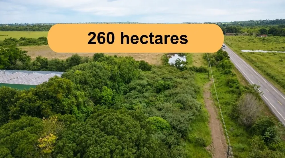 Fazenda, 260 hectares - Foto 1