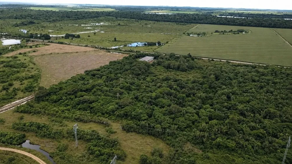 Fazenda, 260 hectares - Foto 3