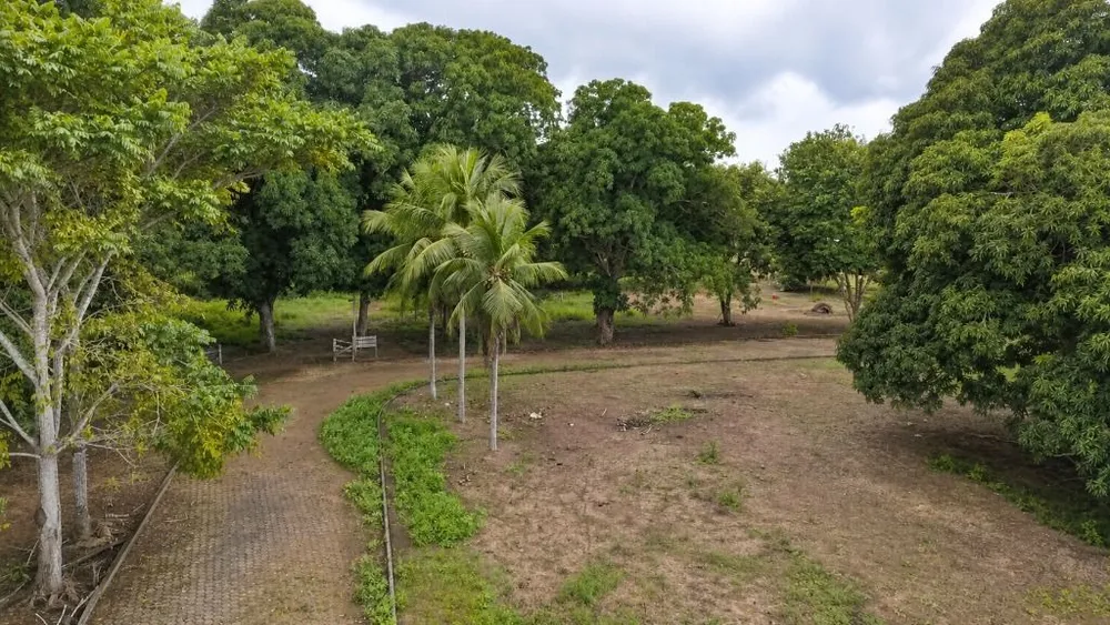 Fazenda, 260 hectares - Foto 7
