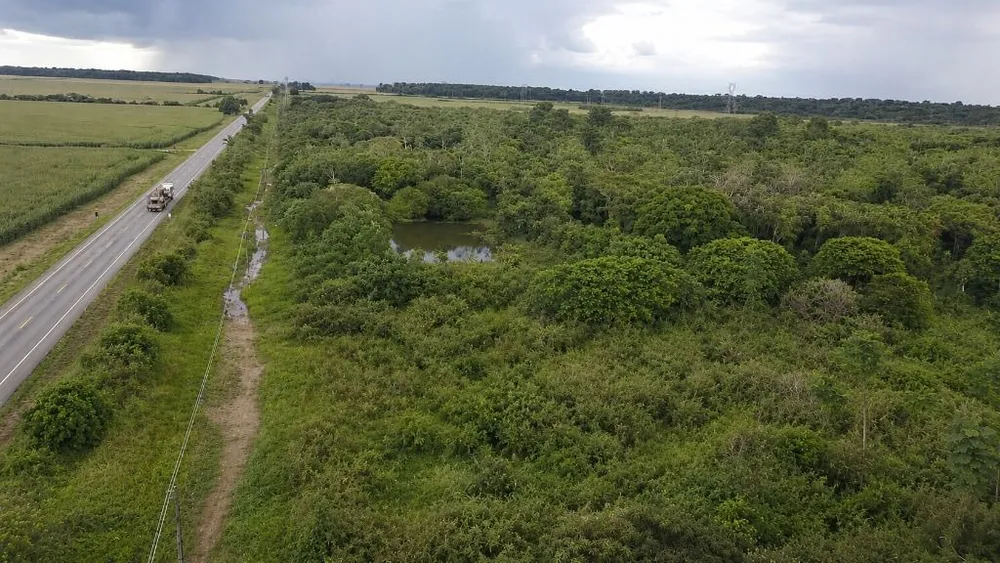 Fazenda, 260 hectares - Foto 10