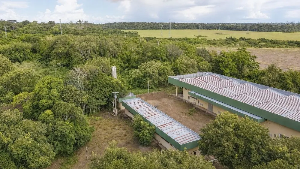 Fazenda, 260 hectares - Foto 6