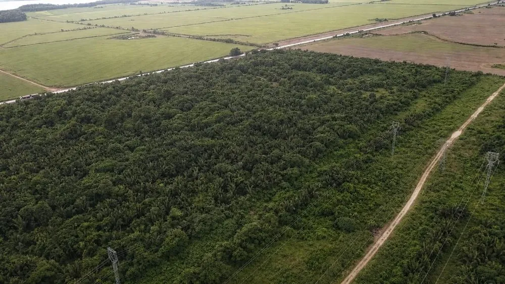 Fazenda, 260 hectares - Foto 2