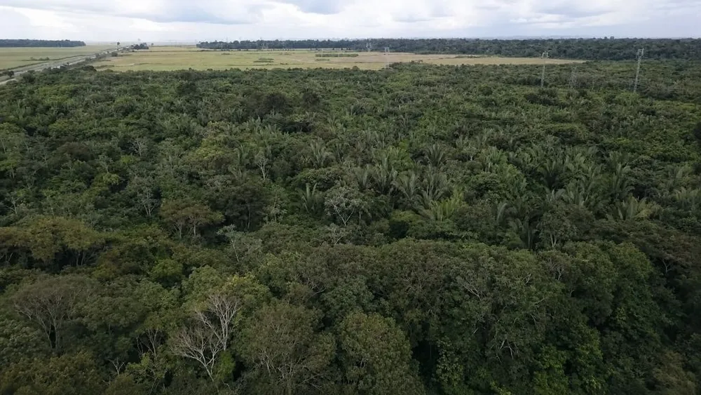 Fazenda, 260 hectares - Foto 4