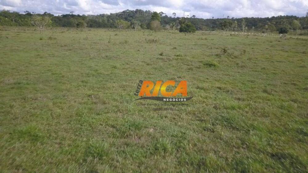 Sítio, 55 hectares - Foto 4