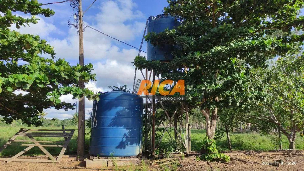 Sítio, 55 hectares - Foto 10