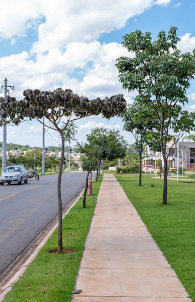 Terreno, 300 m² - Foto 3