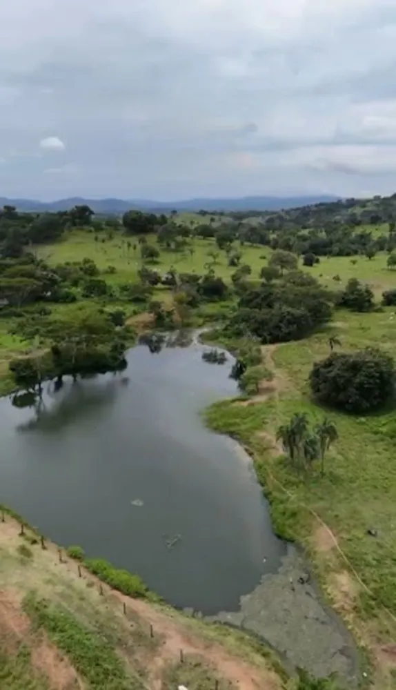 Fazenda, 1162 hectares - Foto 8