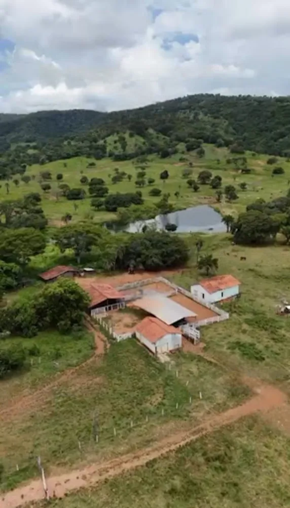 Fazenda, 1162 hectares - Foto 3