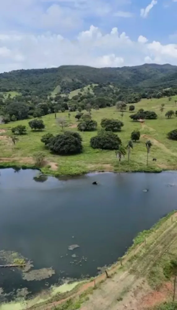 Fazenda, 1162 hectares - Foto 9