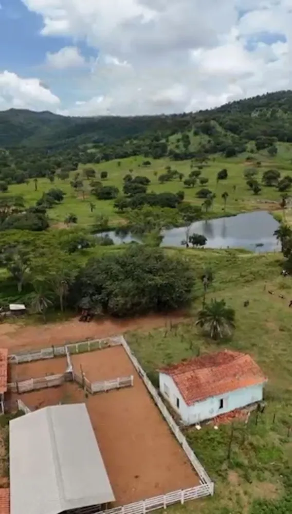 Fazenda, 1162 hectares - Foto 4
