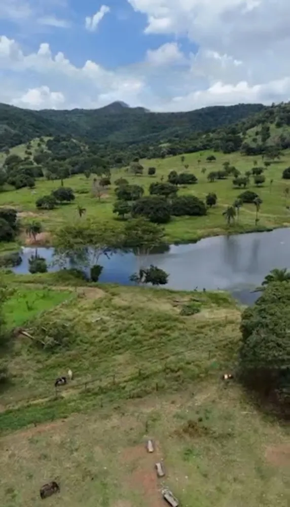 Fazenda, 1162 hectares - Foto 6