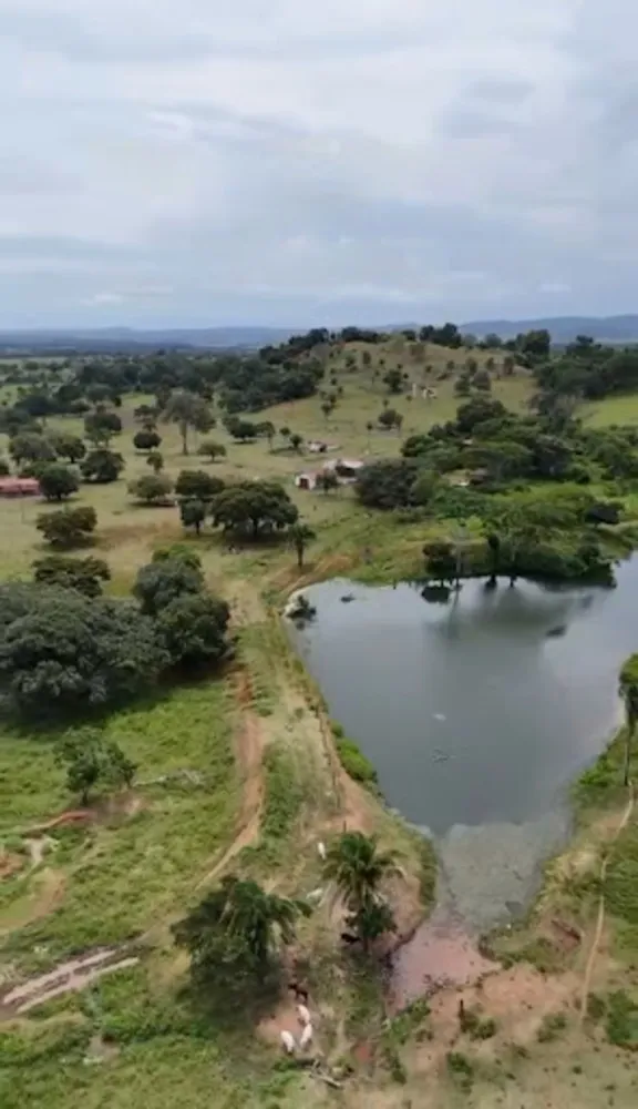 Fazenda, 1162 hectares - Foto 7