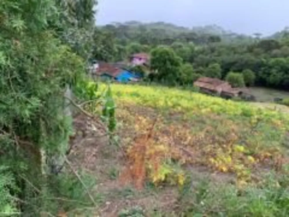 Terreno - Foto 3
