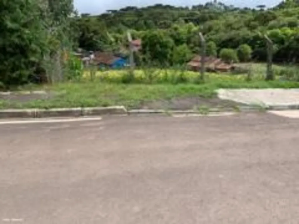 Terreno - Foto 1