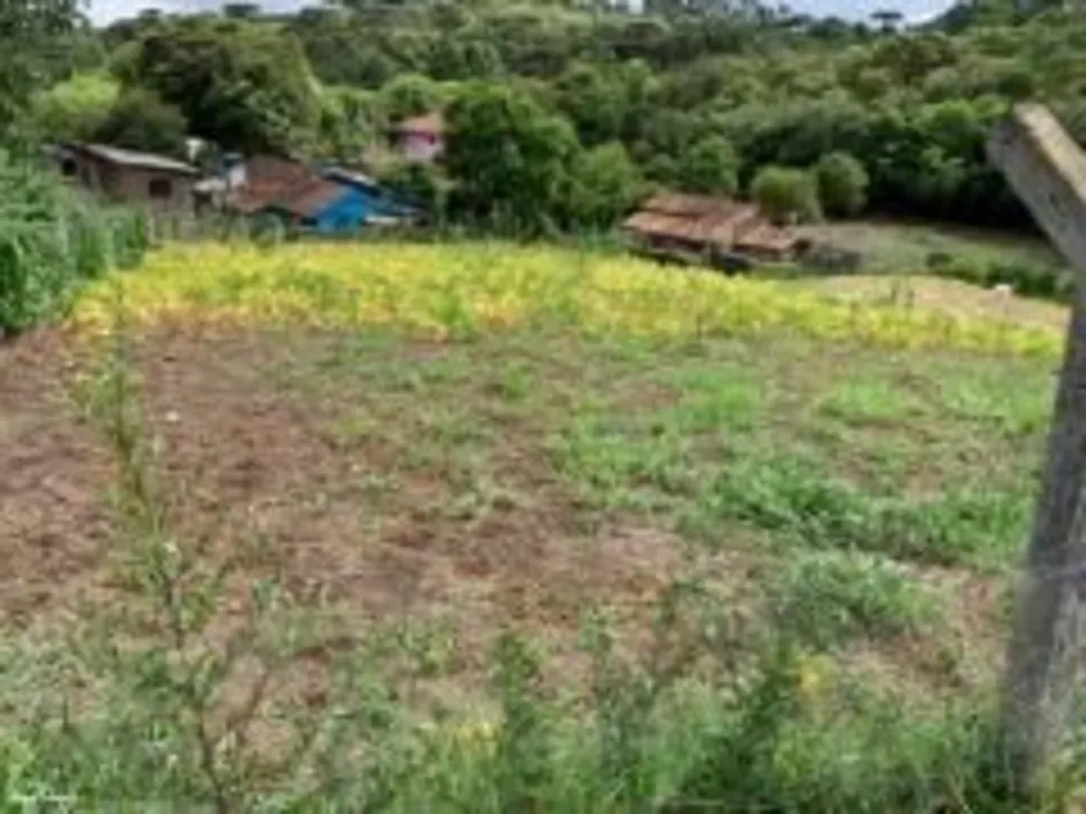Terreno - Foto 4