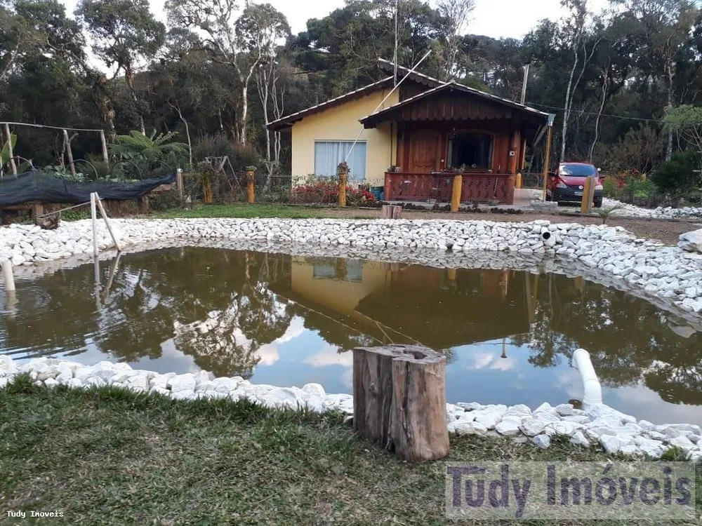 Sítio, 3 quartos, 2 hectares - Foto 2