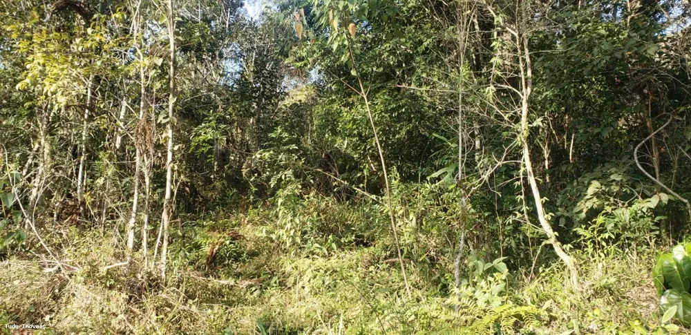 Chácara, 2 hectares - Foto 3