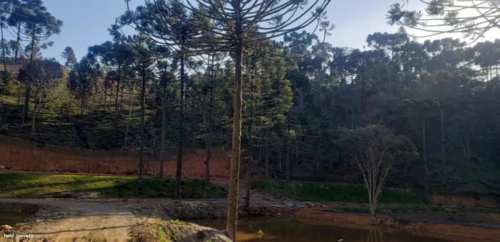 Chácara, 2 hectares - Foto 1