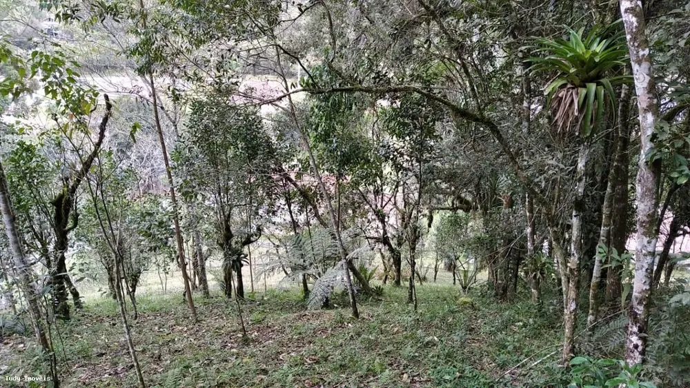 Sítio, 3 quartos, 2 hectares - Foto 4