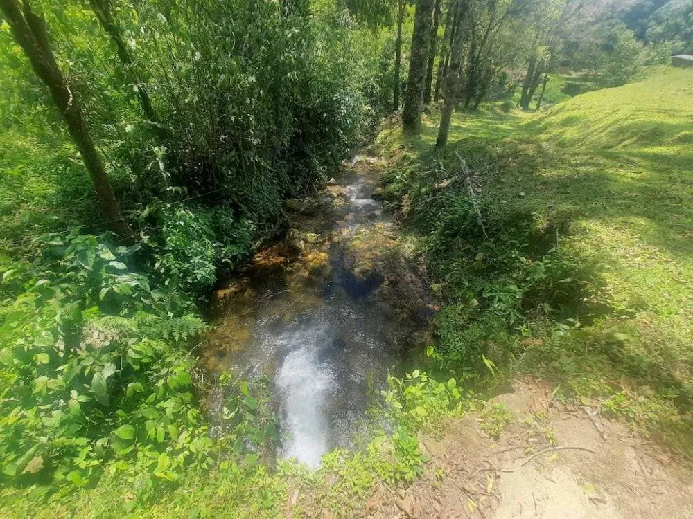 Sítio, 4 quartos, 66 hectares - Foto 7
