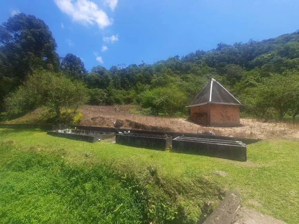 Sítio, 4 quartos, 66 hectares - Foto 9