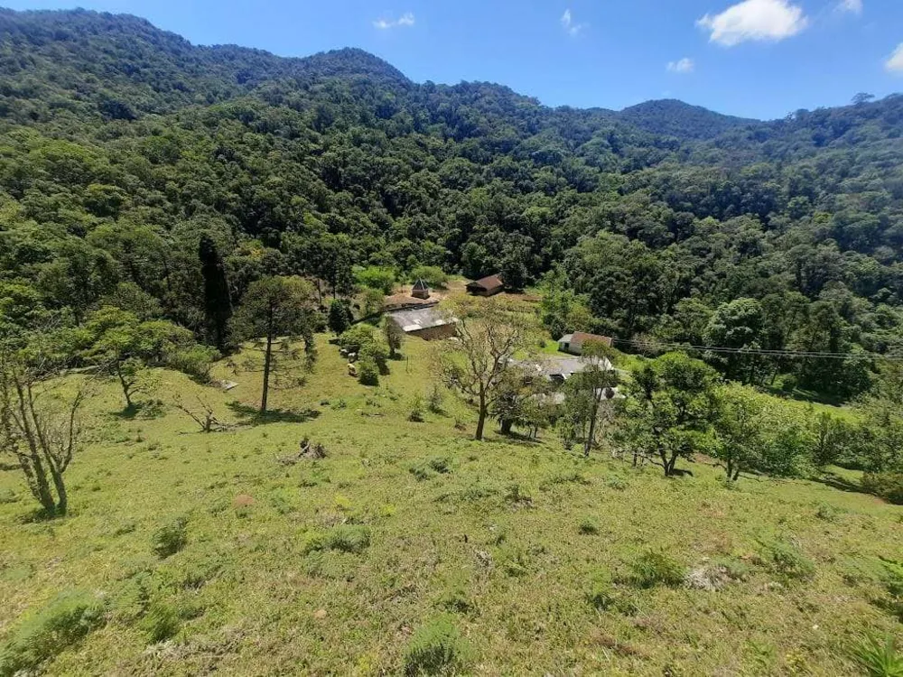 Sítio, 4 quartos, 66 hectares - Foto 6