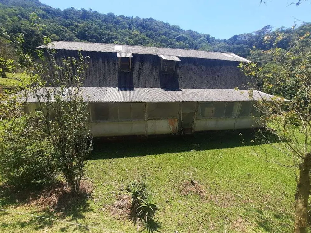 Sítio, 4 quartos, 66 hectares - Foto 8