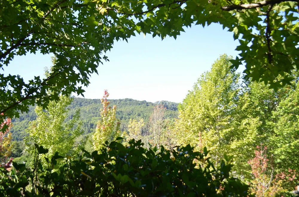 Terreno, 9 m² - Foto 9