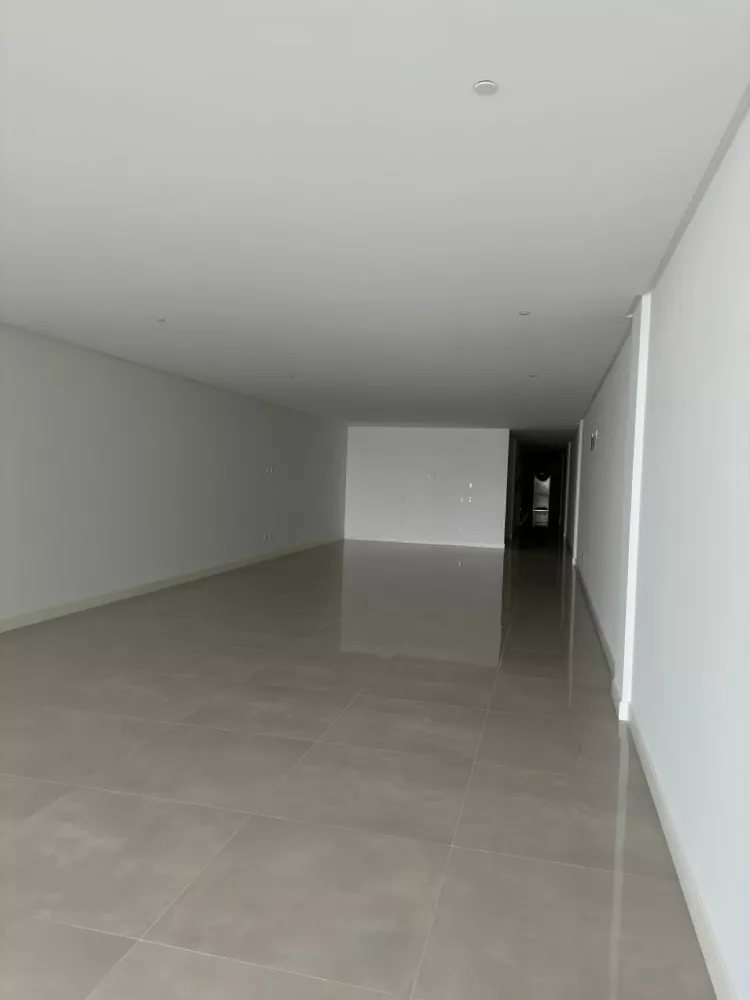 Depósito-Galpão, 217 m² - Foto 2