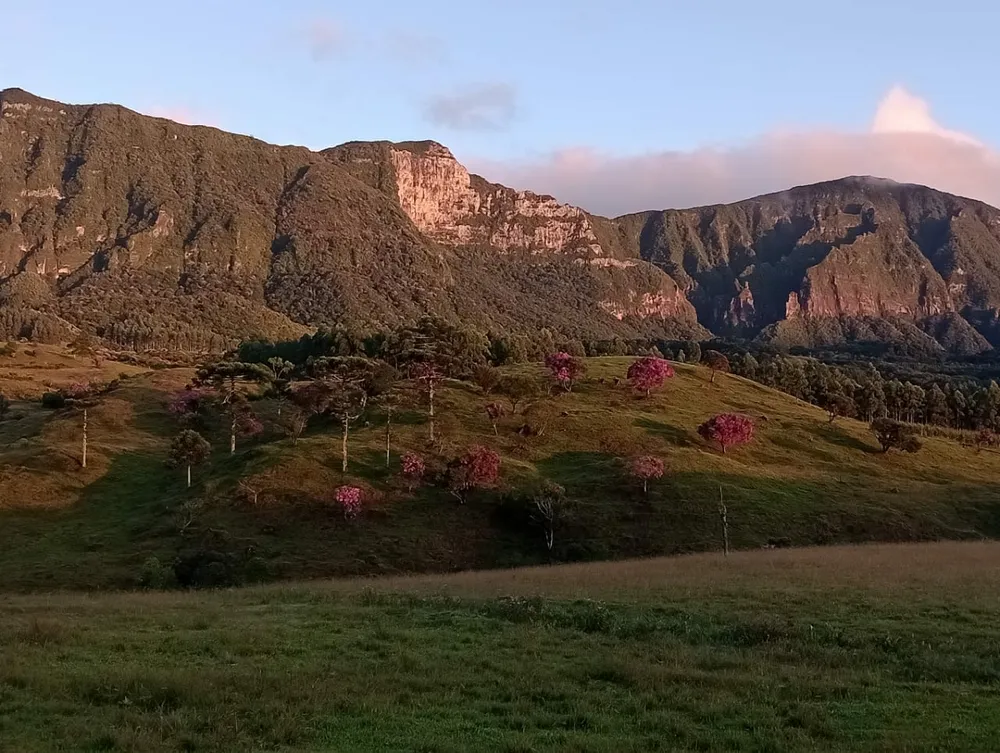 Fazenda, 48 hectares - Foto 11