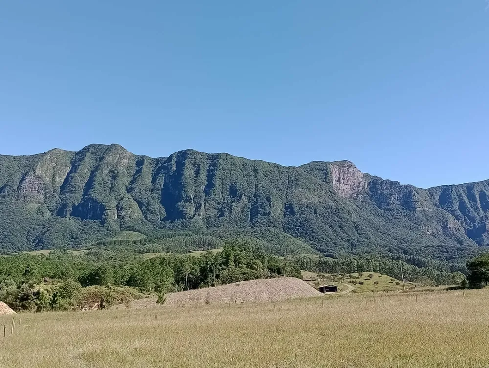 Fazenda, 48 hectares - Foto 2