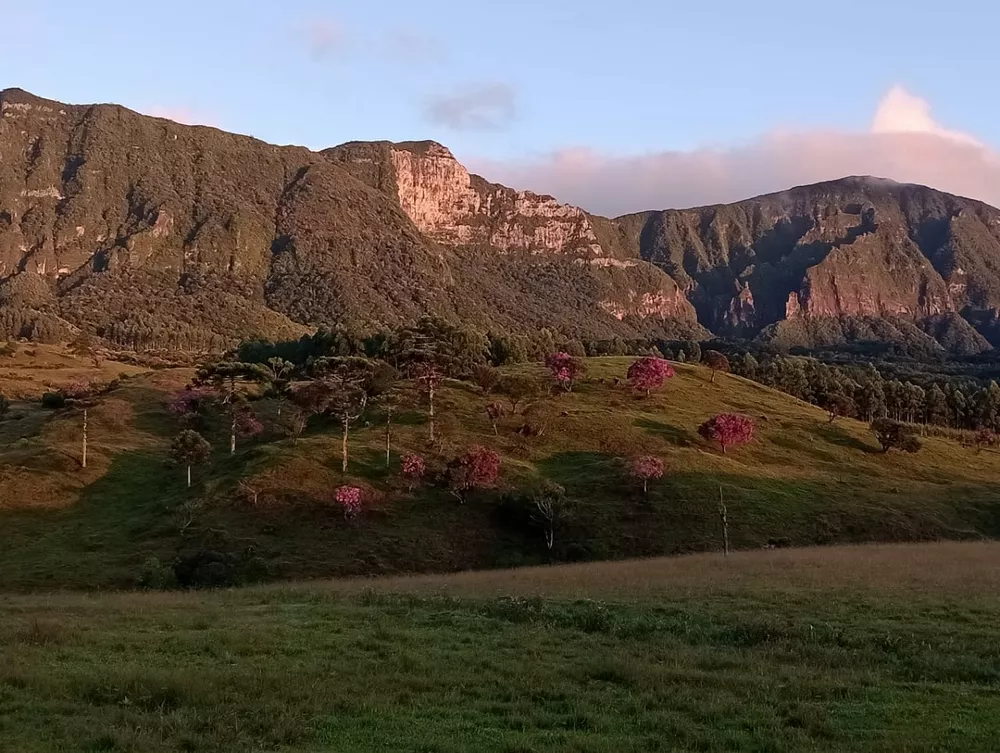Fazenda, 48 hectares - Foto 3
